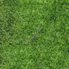 Gạch cỏ lát sân vườn cao cấp Đồng Tâm 40x40 4040GREENERY002