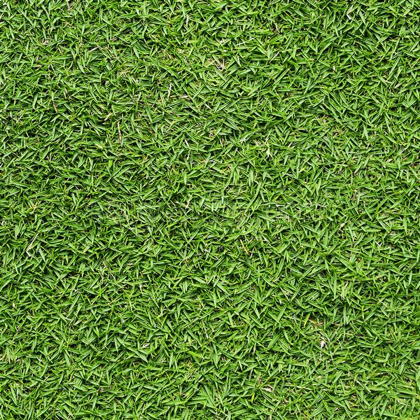 Gạch lát nền sân vườn 300x600 Đồng Tâm greenery 3060GREENERY001