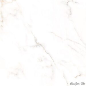 Gạch lát nền Đồng Tâm 600x600 6060MOMENT001 mờ láng trắng marble